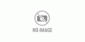 Studentenblume Marigold (Tagetes)